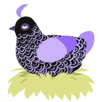 A black and lilac chicken with a double-lace pattern