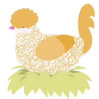 Scramble, a white and honey chicken with a double-lace pattern