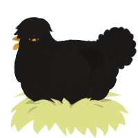 A sable chicken with a lace pattern