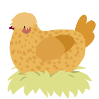 Swiss Cheese, a honey and orange chicken with a speckle pattern
