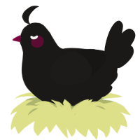 (unnamed), a sable chicken