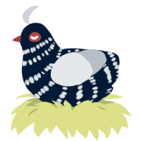 Vans, a tumblr and mist chicken with a bar pattern