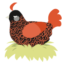 Cheeto Dust, a sable and vermilion chicken with a double-lace pattern