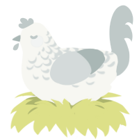 Silver Lace, a white and silver chicken with a half-lace pattern