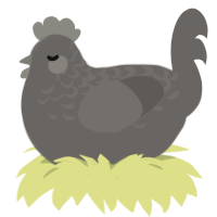 shades, a grey chicken with a half-lace pattern