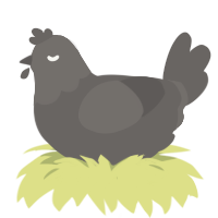 A grey chicken with a head pattern