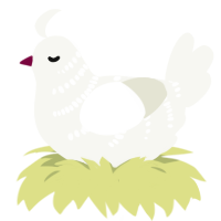 Snow White, a white chicken with a half-bar pattern