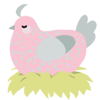 Raw, a rose and silver chicken with a speckle pattern