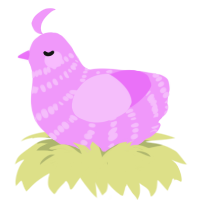 King and Queen, a lavender chicken with a bar pattern