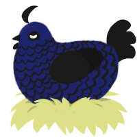 (unnamed), a navy and sable chicken with a lace pattern