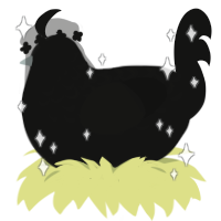 Void Meal, a black chicken with a half-lace pattern
