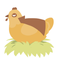 Zora, a honey chicken with a head pattern