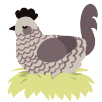 Nervous Subject, a lilac and overcast chicken with a lace pattern