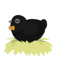 Black Hole, a black and sable chicken with a head pattern