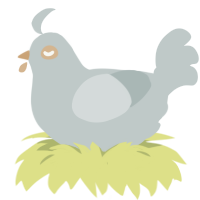 Luce, a silver chicken