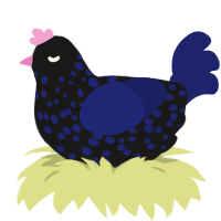 Escailiber, a sable and navy chicken with a speckle pattern