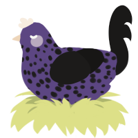 (unnamed), a overcast and sable chicken with a speckle pattern