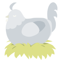 Oliver, a mist chicken with a head pattern