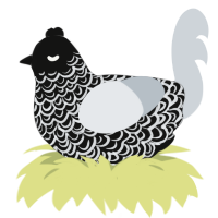 Brian, a black and mist chicken with a double-lace pattern