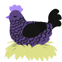 (unnamed), a overcast and black chicken with a lace pattern