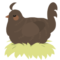 Ganache, a bark chicken with a half-bar pattern
