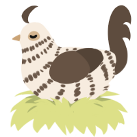 A cream and bark chicken with a bar pattern