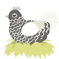 A grey and white chicken with a lace pattern
