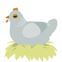 Bawkgatti, a silver chicken with a neck-band pattern
