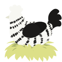 Dominoes, a white and sable chicken with a bar pattern