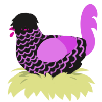 A sable and orchid chicken with a lace pattern