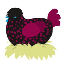 A sable and maroon chicken with a speckle pattern