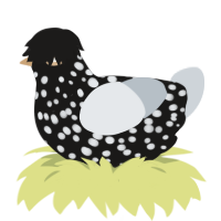 (unnamed), a sable and mist chicken with a speckle pattern