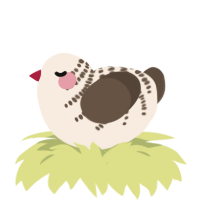 Joy, a cream and bark chicken with a half-bar pattern