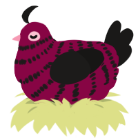 Enya, a maroon and sable chicken with a bar pattern