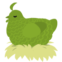 Chart, a chartreuse chicken with a lace pattern