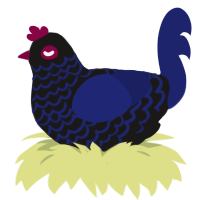 Deep Sea Fish, a sable and navy chicken with a lace pattern