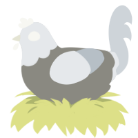 Ghost Pepper, a ash and mist chicken with a head pattern