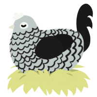 silver, a silver and sable chicken with a lace pattern