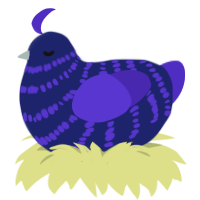 (unnamed), a navy and indigo chicken with a bar pattern