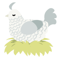 (unnamed), a white and silver chicken with a lace pattern