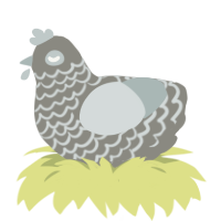 who even is thisguy-, a ash and silver chicken with a lace pattern