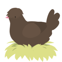 A bark chicken