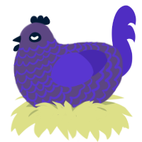 Opt, a overcast and indigo chicken with a lace pattern