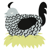 A silver and black chicken with a lace pattern