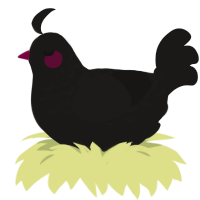 A sable chicken with a half-lace pattern