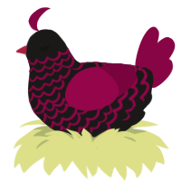 Adopted by morgana, a sable and maroon chicken with a lace pattern