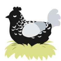 A sable and mist chicken with a half-lace pattern