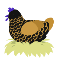 Loopy Loobert, a black and gold chicken with a lace pattern