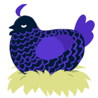 Night, a tumblr and indigo chicken with a lace pattern