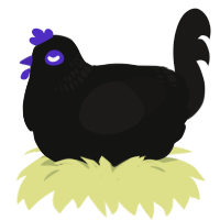 (unnamed), a black and sable chicken with a neck-band pattern